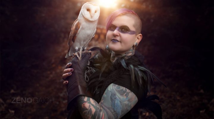 Greifvogel-Shootings (Gastbeitrag)