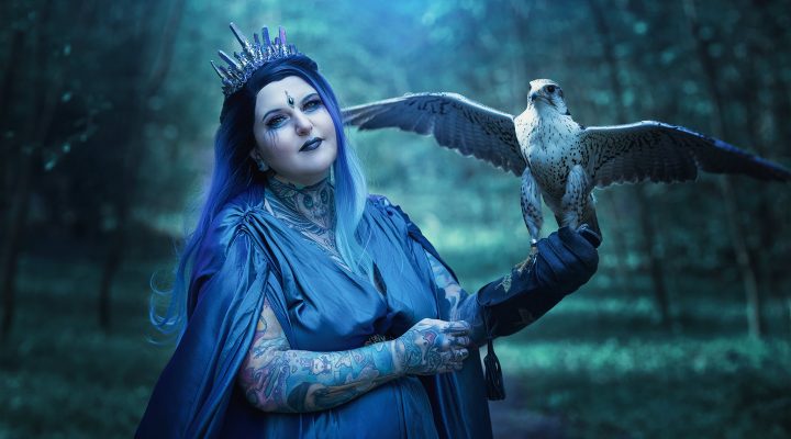 Greifvogel-Shootings (Gastbeitrag)